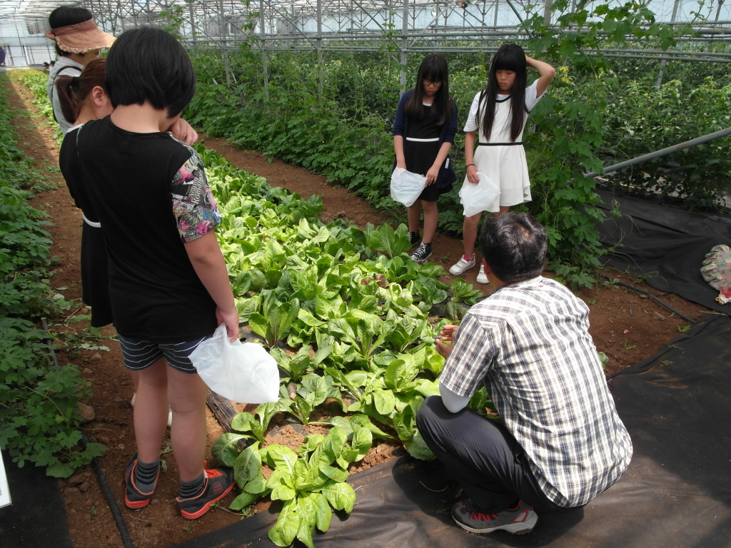 소비자 농업농촌 체험 백년초 페스티벌 - 농업 체험